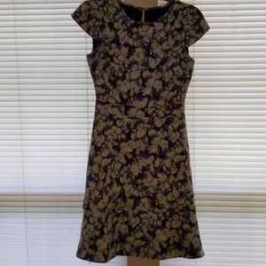 J Crew Dress